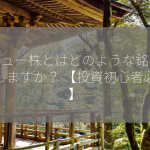 バリュー株とはどのような銘柄を指しますか？ 【投資初心者必見】